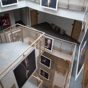 projekt dyplomowy Denisa Stanka (ps. Denis Palmer)