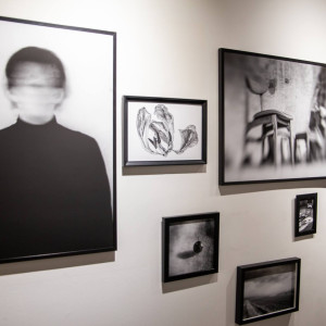 „Osad" wystawa Katarzyny Leszczyńskiej-Kaszuby w Galerii Patio2