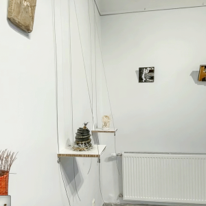 dr Katarzyna Rumińska