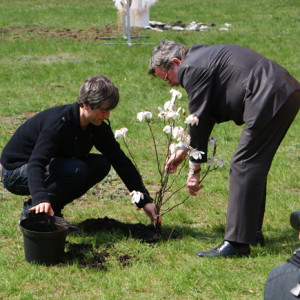 AHE Łódź kierunek taniec plac
