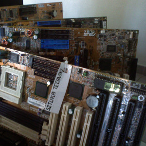 Wystawy studenckie - foto