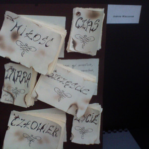 Wystawy studenckie - foto