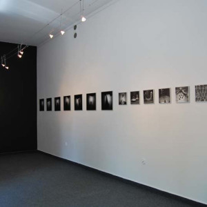 Galeria Domek Ogrodnika