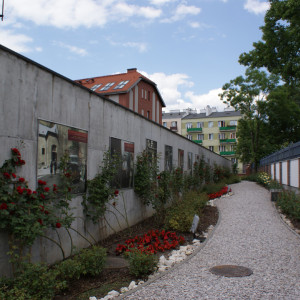 AHE kulturoznawstwo Wyjazdy naukowe