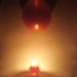 Małgorzata Jędrzejewska