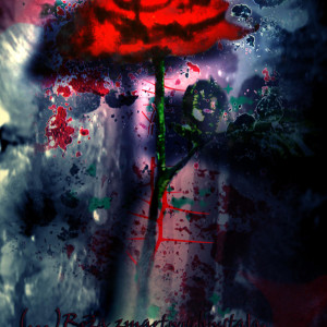 Monika Bałuczyńska