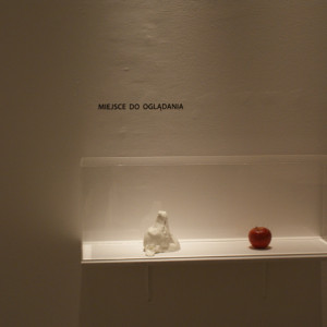 AHE kulturoznawstwo Wyjazdy naukowe