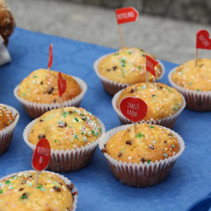 Gala Wojewódzka Szlachetnej Paczki i Akademii Przyszłości w AHE