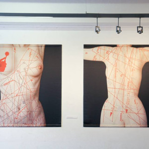 Wystawa Magdaleny Samborskiej w Galerii Patio2