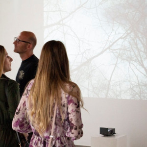 Galeria Patio2 prezentuje wystawę „Media cyfrowe”