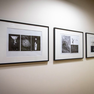 Wystawa „Między czernią a bielą"