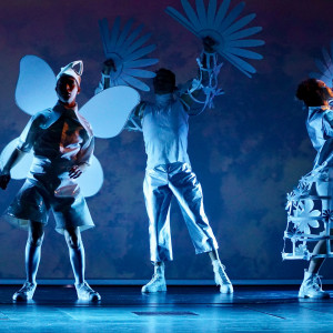 dr Alexandr Azarkevitch, prof. AHE choreografem „Calineczki"