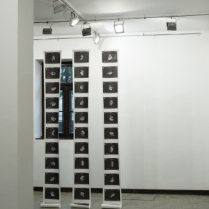 Wystawa „Transgresja” oficjalnie otwarta!