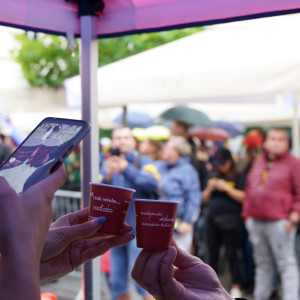 Platforma AHE na Paradzie Wolności