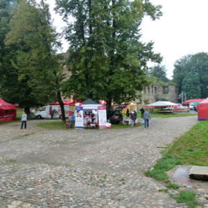 AHE w Ząbkowicach Śląskich