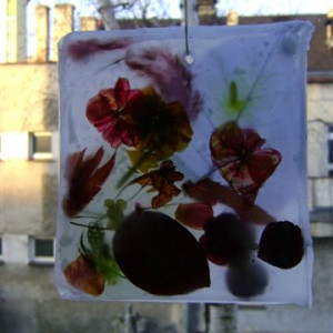 Cała Polska czyta dzieciom