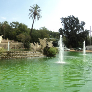 AHE Łódź studia grafika staż Barcelona