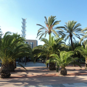 AHE Łódź studia grafika staż Barcelona