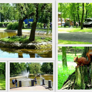 Park miejski w Grudziądzu