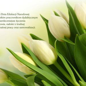 AHE Łódź dzień edukacji narodowej