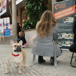 21. Urodziny Akademii Humanistyczno-Ekonomicznej w  Łodzi 24