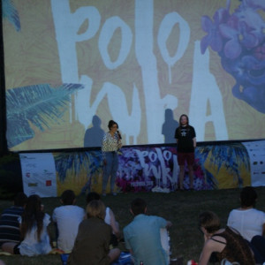 Polówka 2015 w AHE Łódź