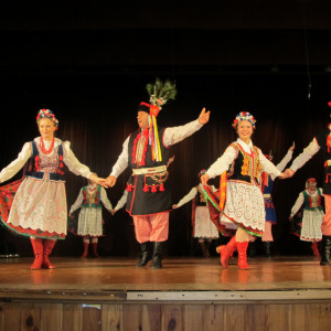 Rok akademicki 2015/2016 w UTW otwarty!